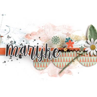 my Siggy