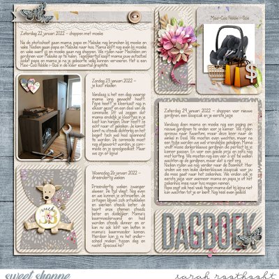 Dagboek page 42