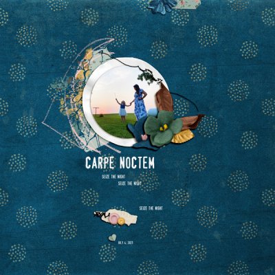 Carpe Noctem