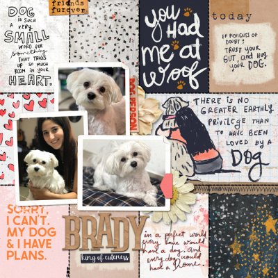 Dog Lady