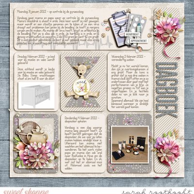 Dagboek page 43