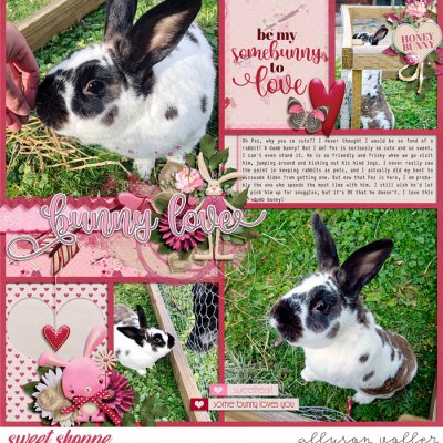 Bunny Love
