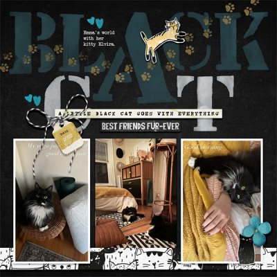 Black Cat