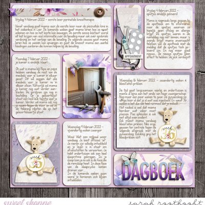 Dagboek Page 46