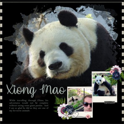 Xiong Mao