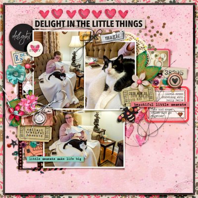 Delight In The Little Things