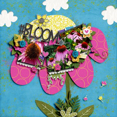 Bloom