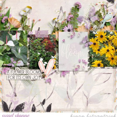 In Bloom
