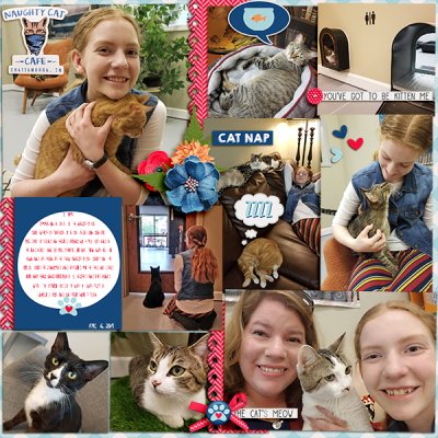 Cat Cafe