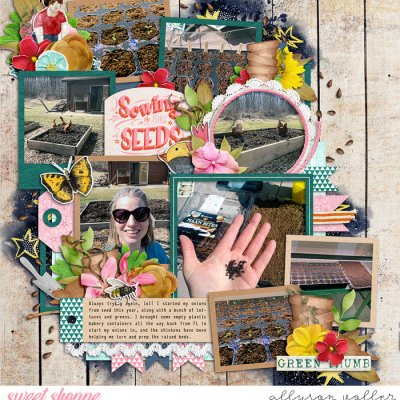 Sowing Seeds