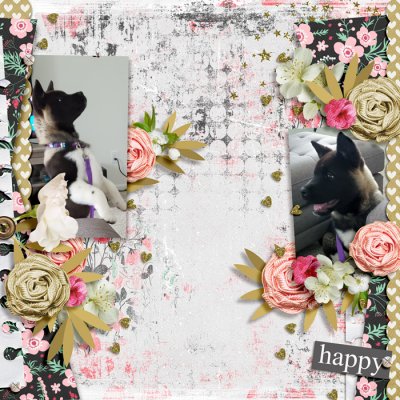 Happy Tails