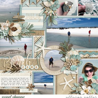 Beach Comb