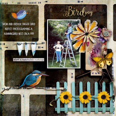Birding