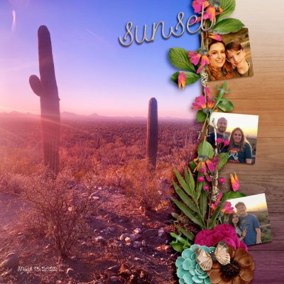 Sunset Saguaro