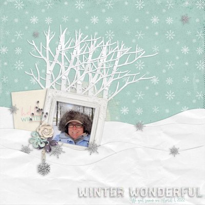 Winter Wonderful
