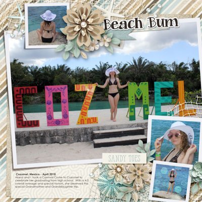 15B_Beach Bum