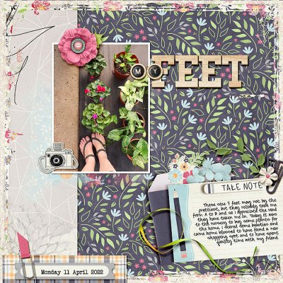 my feet