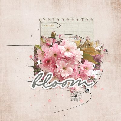 bloom