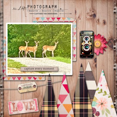 Capture Every Moment