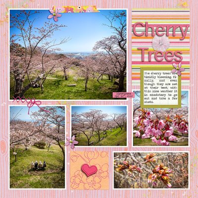 Cherry Trees