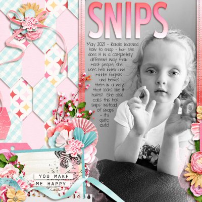Snips