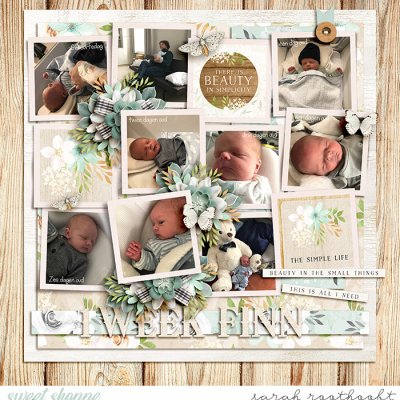 One Week Of Finn