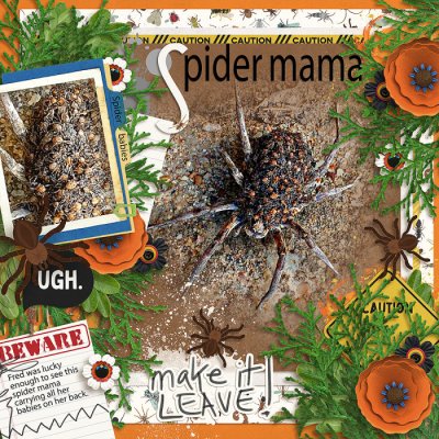 Spider Mama