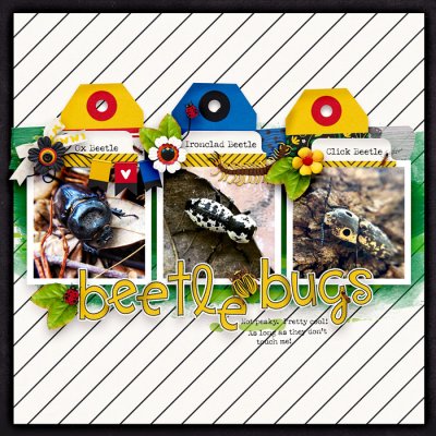 BeetleBugs