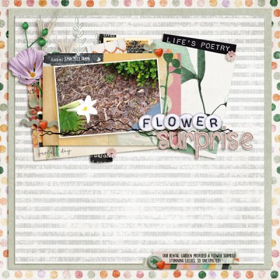 iNSD2022 - Paper to Digi - Flower Surprise
