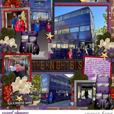 The Knight Bus