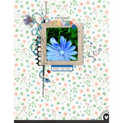 Wildflower
