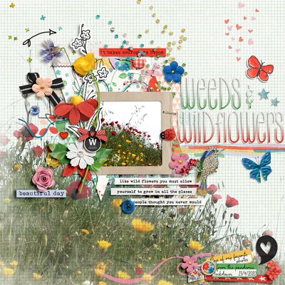 Wildflowers