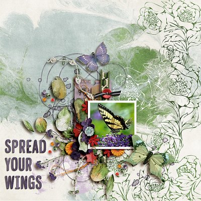 Spread Your Wings