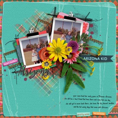 Arizona