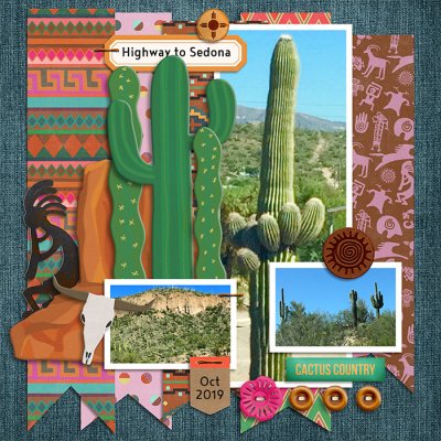 Suguaro Cactus out of Phoenix