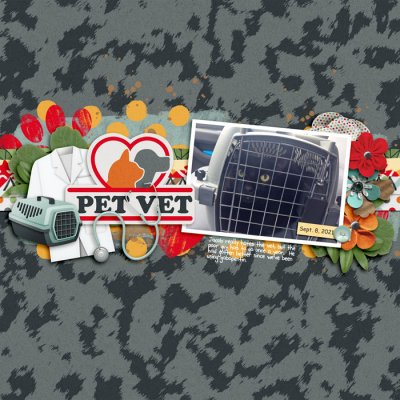 Pet Vet