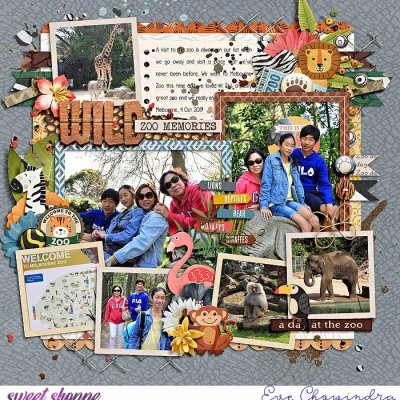 wild zoo memories