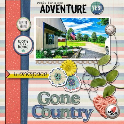New Job Gone Country}
