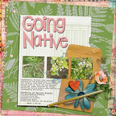 Going Native