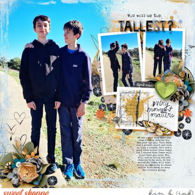 Who Will Be The Tallest?