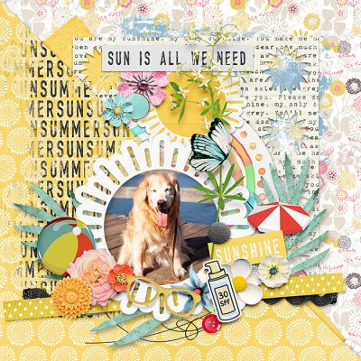 Sun Is All We Need
