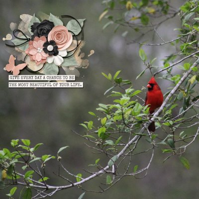 July 8 - Scrap on Your Photo