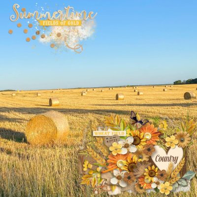 Wheat field