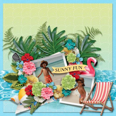 Sunny Fun