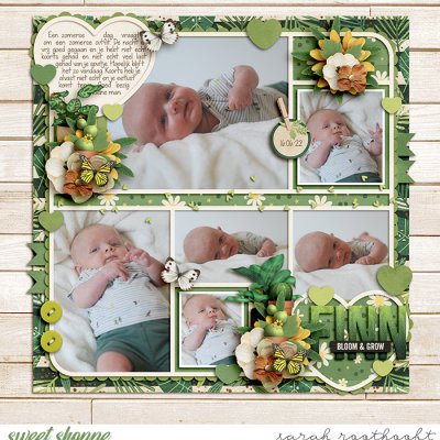 Finn bloom & grow