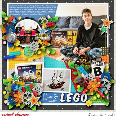 Never Too Much Lego