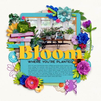 Bloom