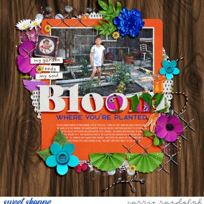 Bloom