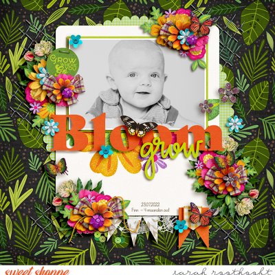Bloom & Grow