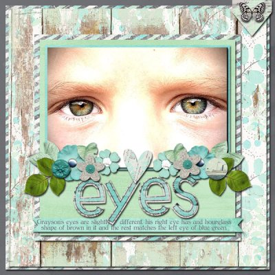 2021-Gray-eyes_edited-1